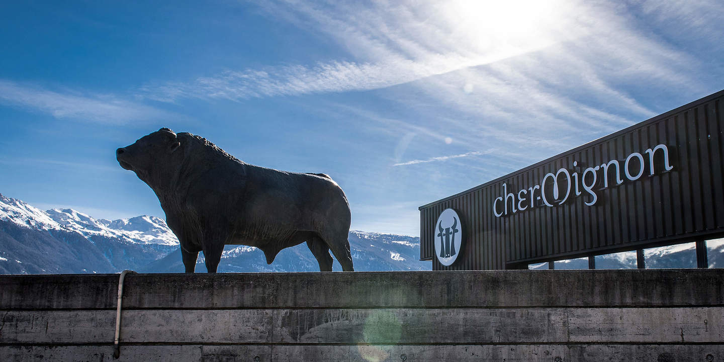 Cher Mignon Logo und Kuh vor blauem Himmel